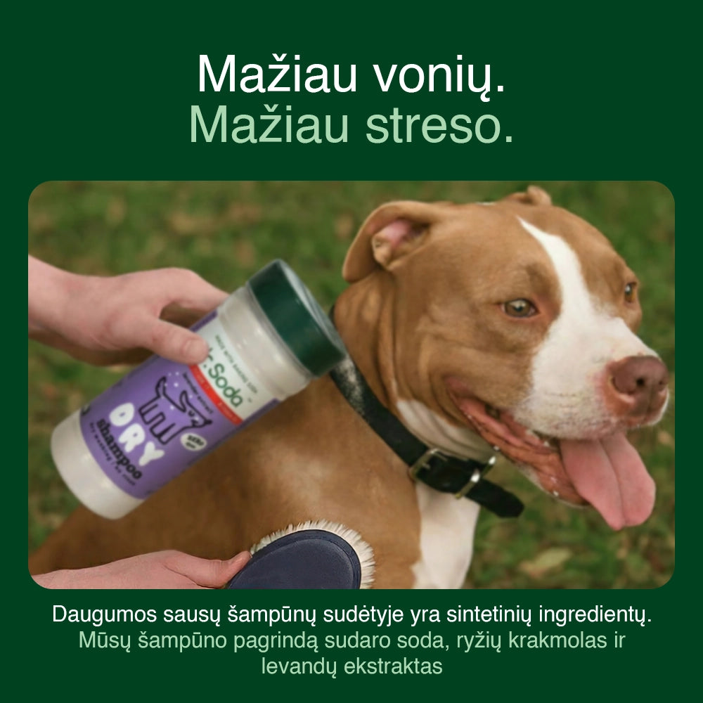 Pet Clean Bundle lang-lt
