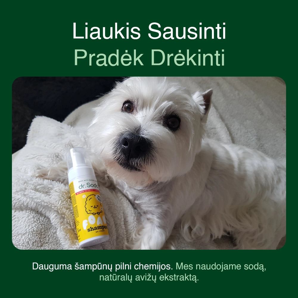 Šampūnas putomis be skalavimo
