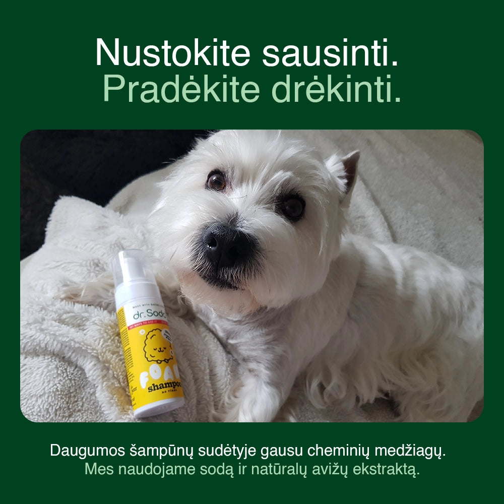 Pet Clean Bundle lang-lt
